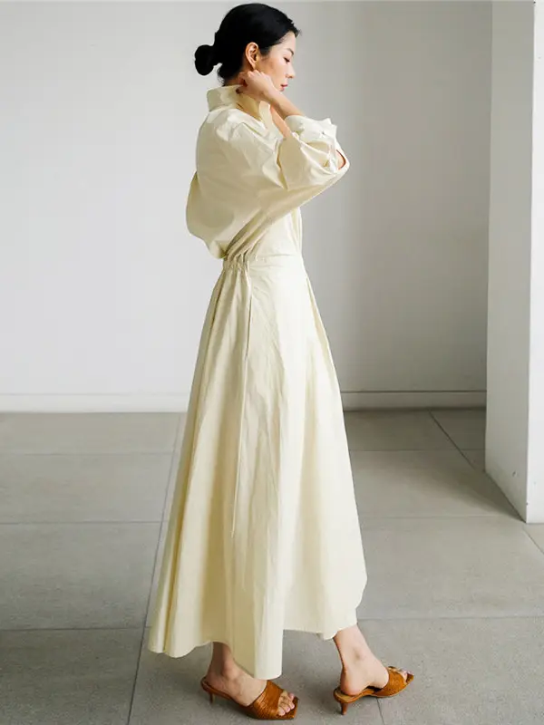 Maxi Pleated Trench Dress_3