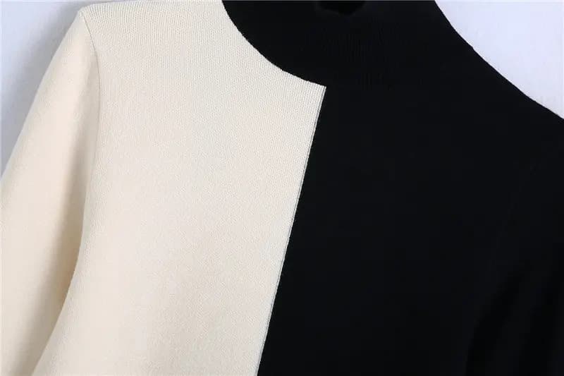 Black and White Color Block High Neck Sweater_2